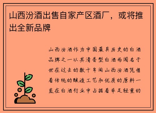 山西汾酒出售自家产区酒厂，或将推出全新品牌